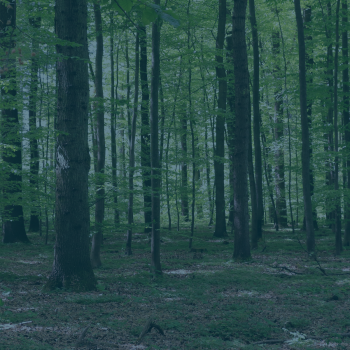 Nature Conservancy of Canada Exceeds Its Earned Media Goals Through Cision Distribution, Monitoring And Analysis Services Nature Conservancy of Canada Exceeds Its Earned Media Goals Through Cision Distribution, Monitoring And Analysis Services